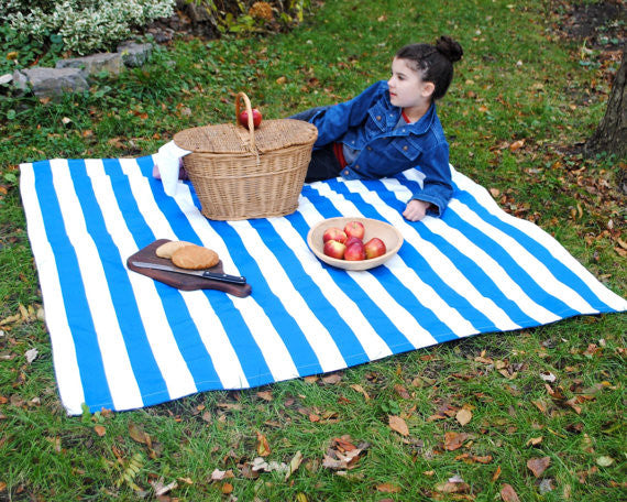 How to Choose a Picnic Blanket